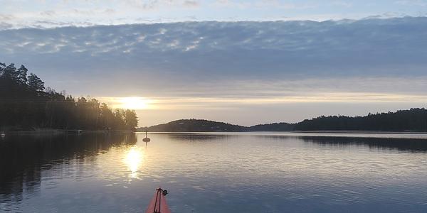 Grisslinge - Saltarö - 29 Mars